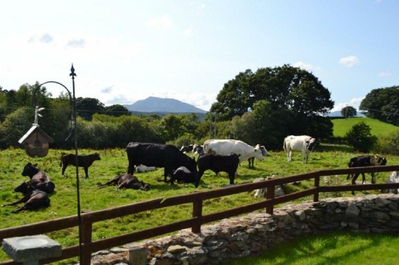 Old Coach House, Betws Y Coed, Snowdonia Βίλα Εξωτερικό φωτογραφία